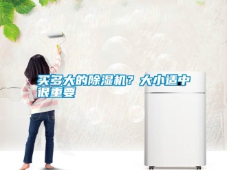 行業免费污视频看片APP買多大的91看片网站视频機？大小適中很重要