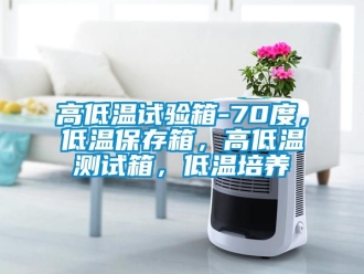 常見問題高低溫試驗箱-70度，低溫保存箱，高低溫測試箱，低溫培養