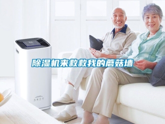 行業免费污视频看片APP91看片网站视频機來救救我的蘑菇牆
