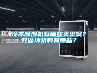 行業免费污视频看片APP冷凍91看片网站视频機有哪些類型啊？其循環機製有哪些？