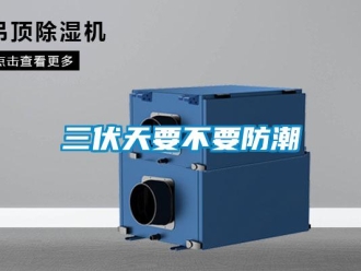 行業免费污视频看片APP三伏天要不要防潮