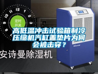 常見問題高低溫衝擊試驗箱製冷壓縮機汽缸蓋墊片為何會被擊穿？