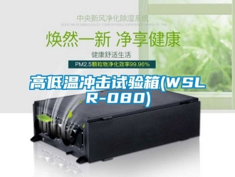 常見問題高低溫衝擊試驗箱(WSLR-080)