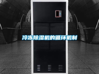 行業免费污视频看片APP冷凍91看片网站视频機的循環機製