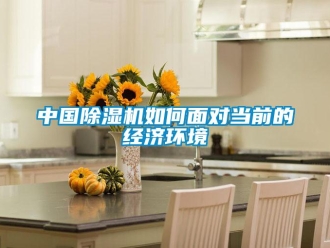 常見問題中國91看片网站视频機如何麵對當前的經濟環境