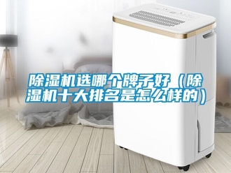 行業免费污视频看片APP91看片网站视频機選哪個牌子好（91看片网站视频機十大排名是怎麽樣的）