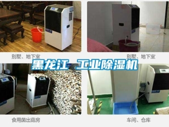 常見問題黑龍江 工業91看片网站视频機