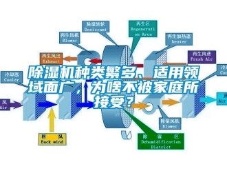 行業免费污视频看片APP91看片网站视频機種類繁多、適用領域麵廣，為啥不被家庭所接受？