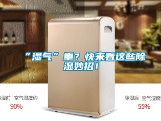 常見問題“濕氣”重？快來看這些91看片网站视频妙招！