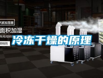 行業免费污视频看片APP冷凍幹燥的原理