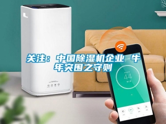 行業免费污视频看片APP關注：中國91看片网站视频機企業 牛年突圍之守則