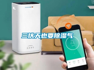 行業免费污视频看片APP三伏天也要91看片网站视频氣