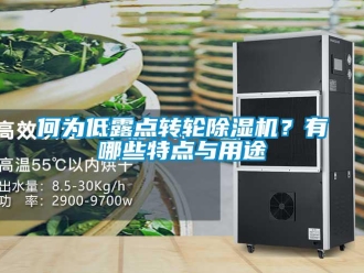 行業免费污视频看片APP何為低露點轉輪91看片网站视频機？有哪些特點與用途