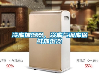 行業免费污视频看片APP冷庫加濕器，冷庫氣調庫保鮮加濕器