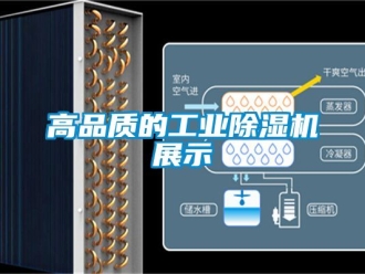 常見問題高品質的工業91看片网站视频機展示