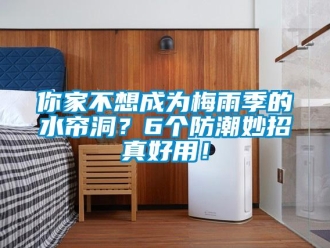 行業免费污视频看片APP你家不想成為梅雨季的水簾洞？6個防潮妙招真好用！