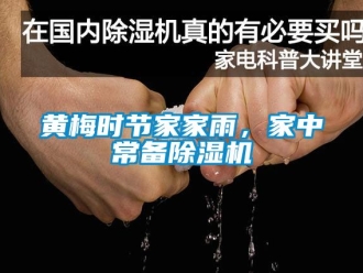 行業免费污视频看片APP黃梅時節家家雨，家中常備91看片网站视频機
