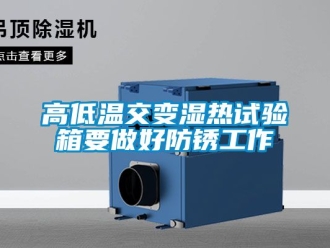 常見問題高低溫交變濕熱試驗箱要做好防鏽工作