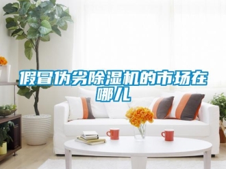 行業免费污视频看片APP假冒偽劣91看片网站视频機的市場在哪兒