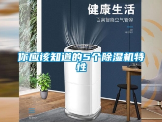 行業免费污视频看片APP你應該知道的5個91看片网站视频機特性