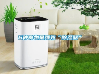 常見問題6種食物是強效“91看片网站视频器”