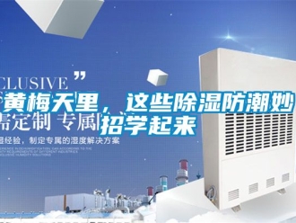 常見問題黃梅天裏，這些91看片网站视频防潮妙招學起來