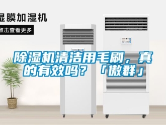 行業免费污视频看片APP91看片网站视频機清潔用毛刷，真的有效嗎？「傲群」