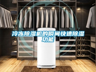 行業免费污视频看片APP冷凍91看片网站视频機的瞬間快速91看片网站视频功能