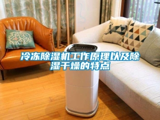 行業免费污视频看片APP冷凍91看片网站视频機工作原理以及91看片网站视频幹燥的特點